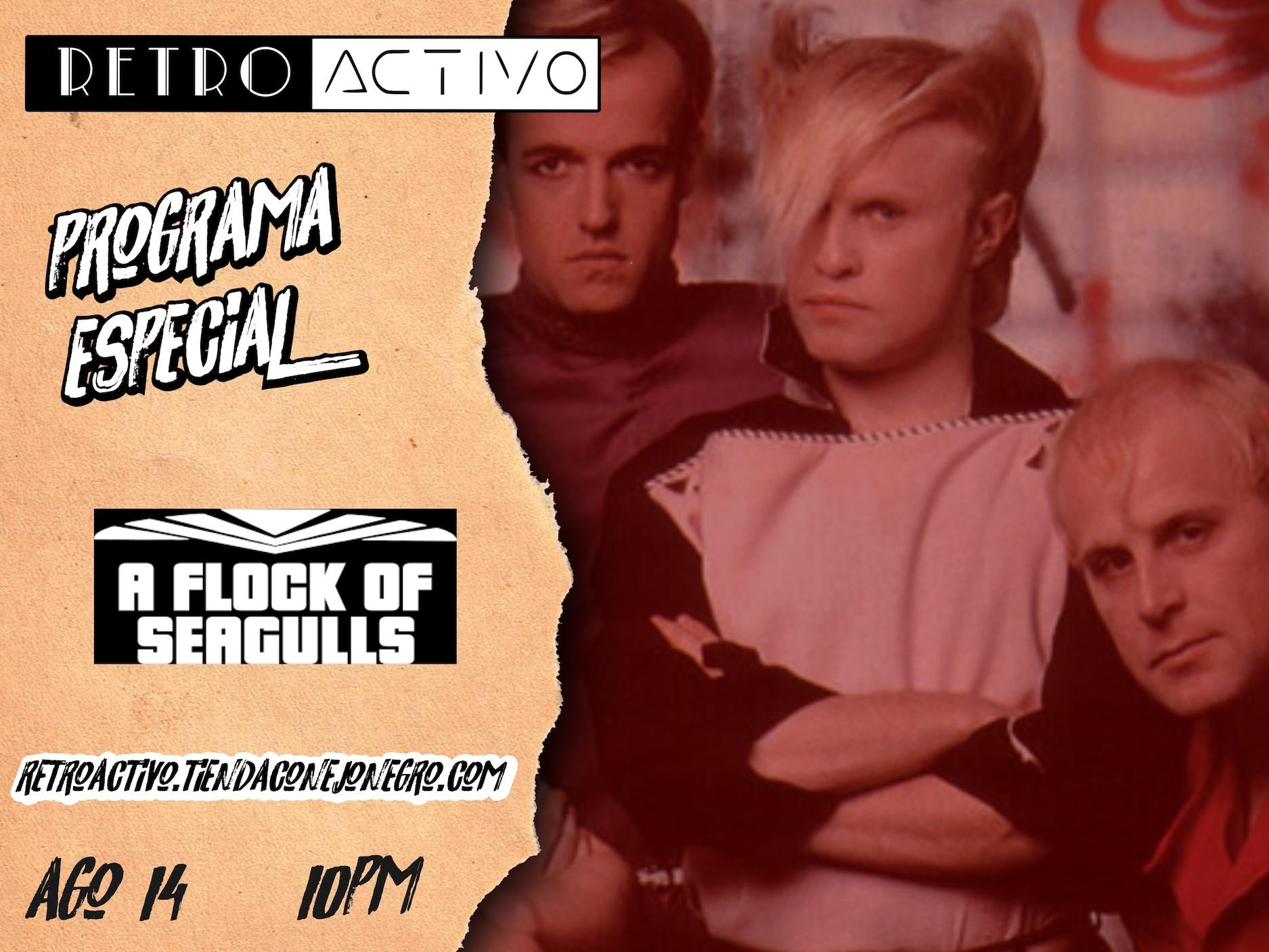 Cover Image for A Flock of Seagulls