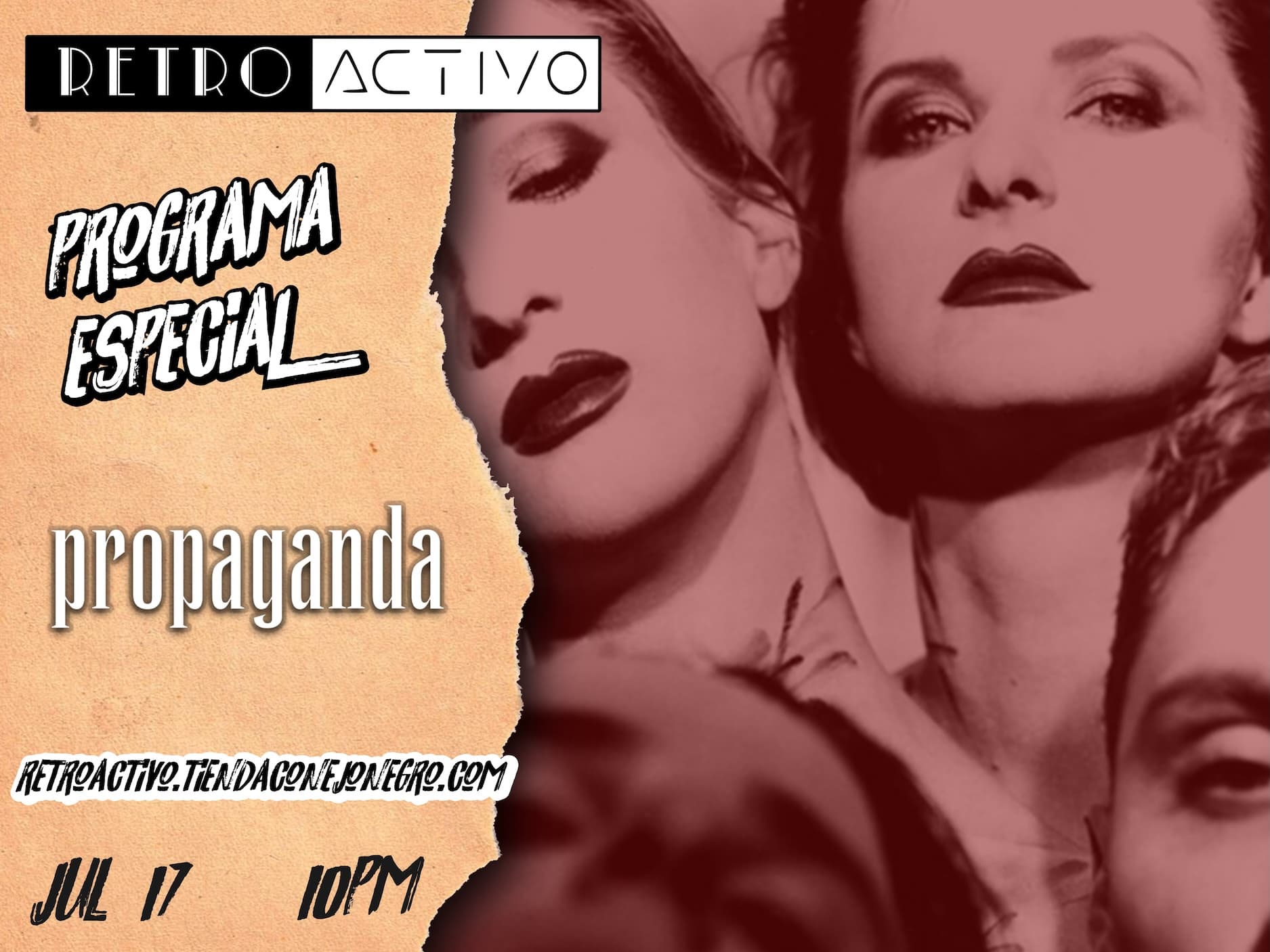 Cover Image for Propaganda – A Secret Wish